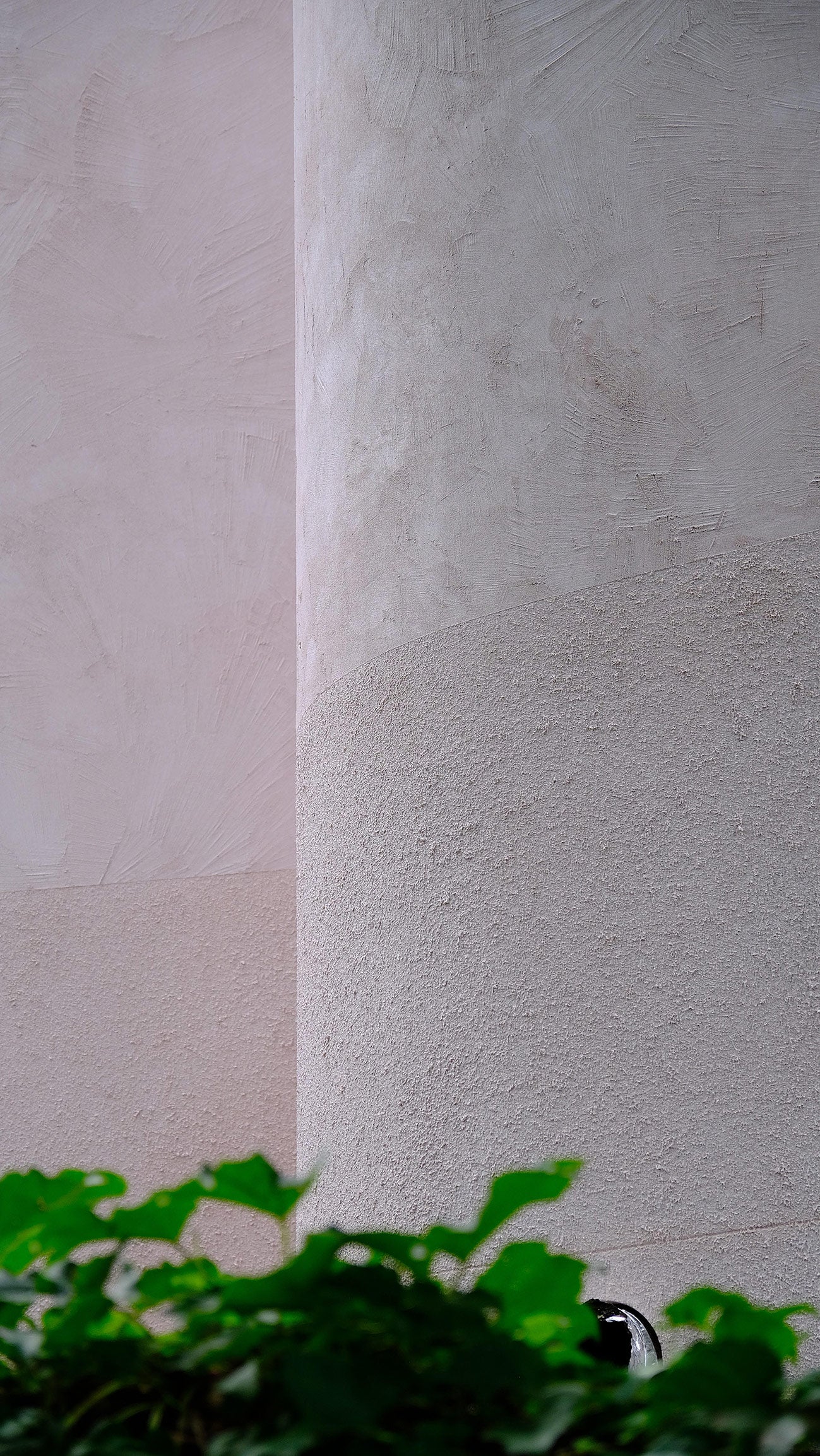 Lime Render – Peter Lewis Paints Pty Ltd