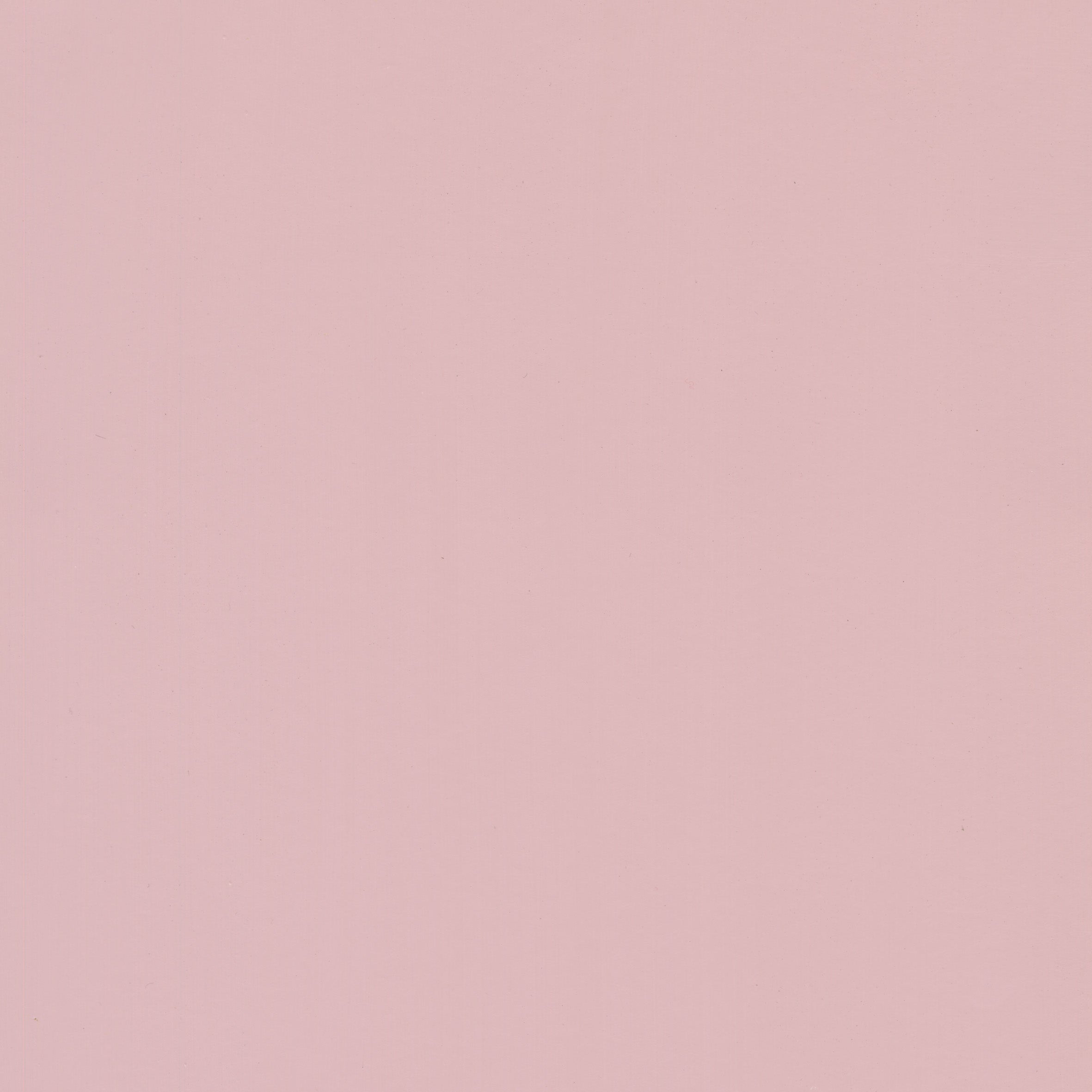 Flower Pink