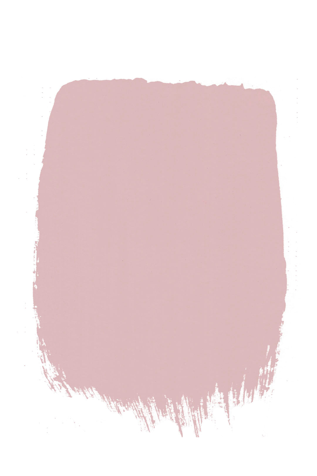 Flower Pink