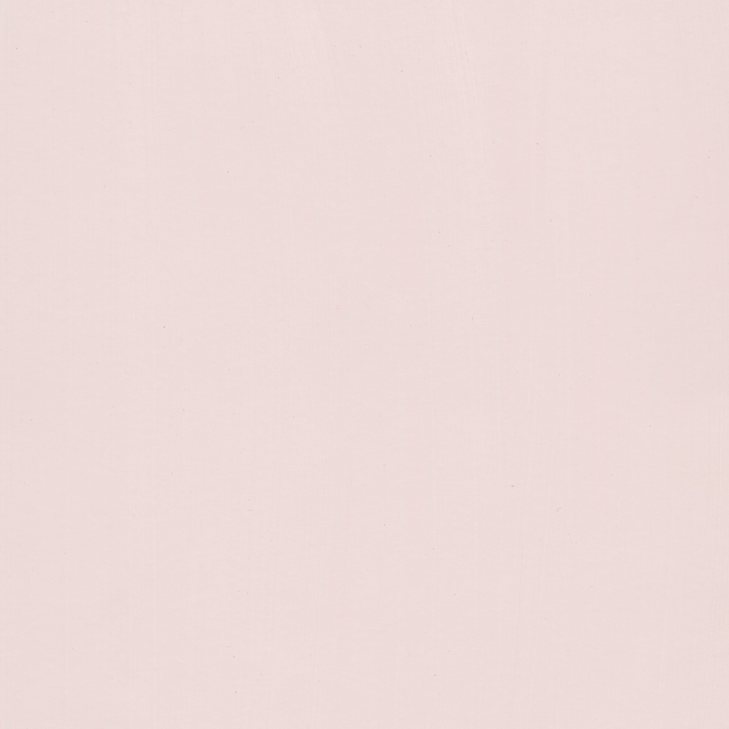Lily Pink