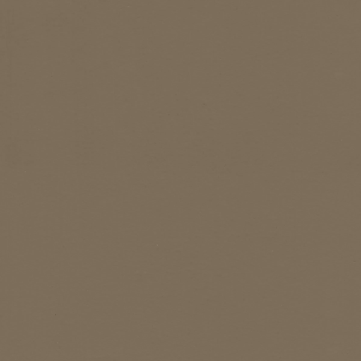 Buffalo – Peter Lewis Paints Pty Ltd
