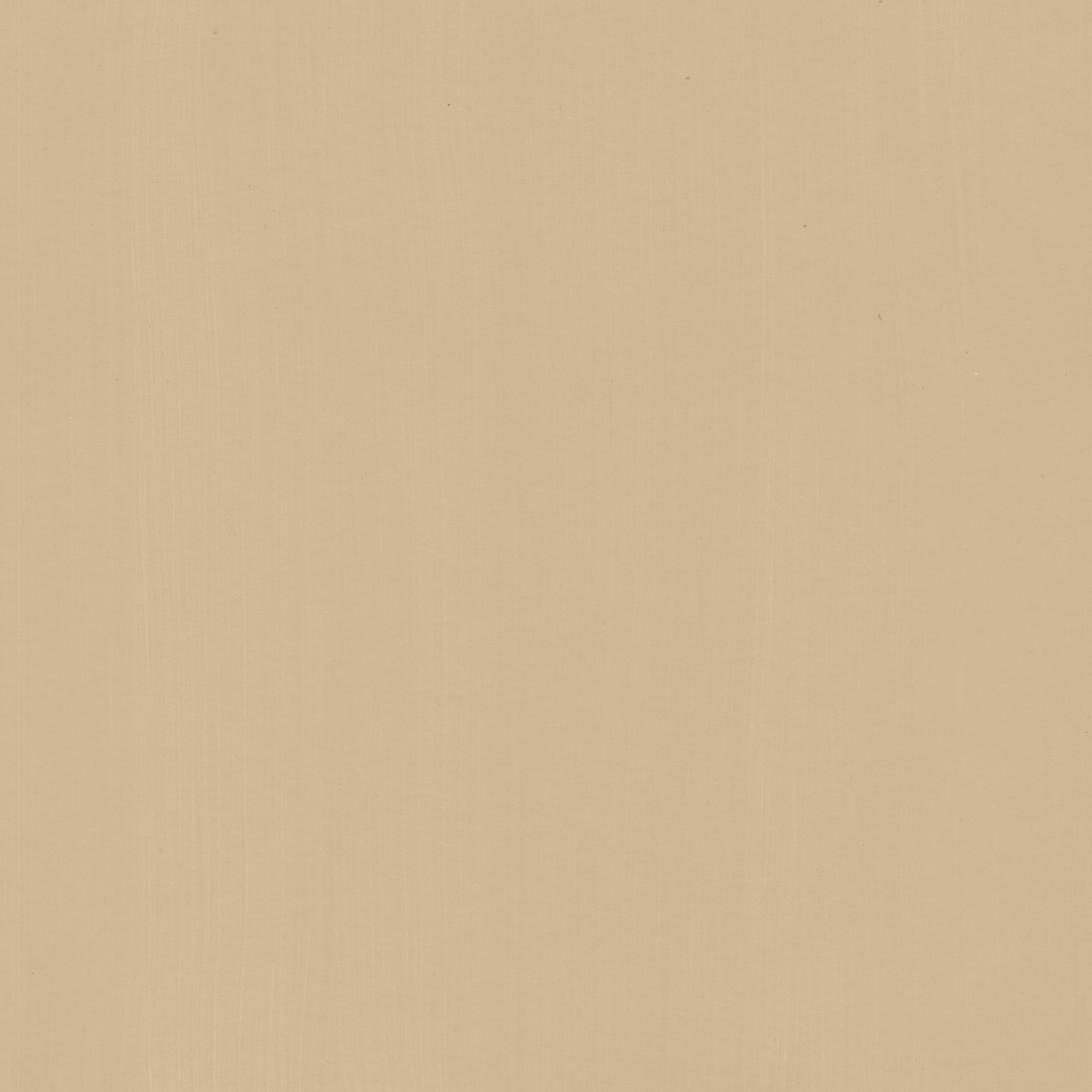 Rich Cream
