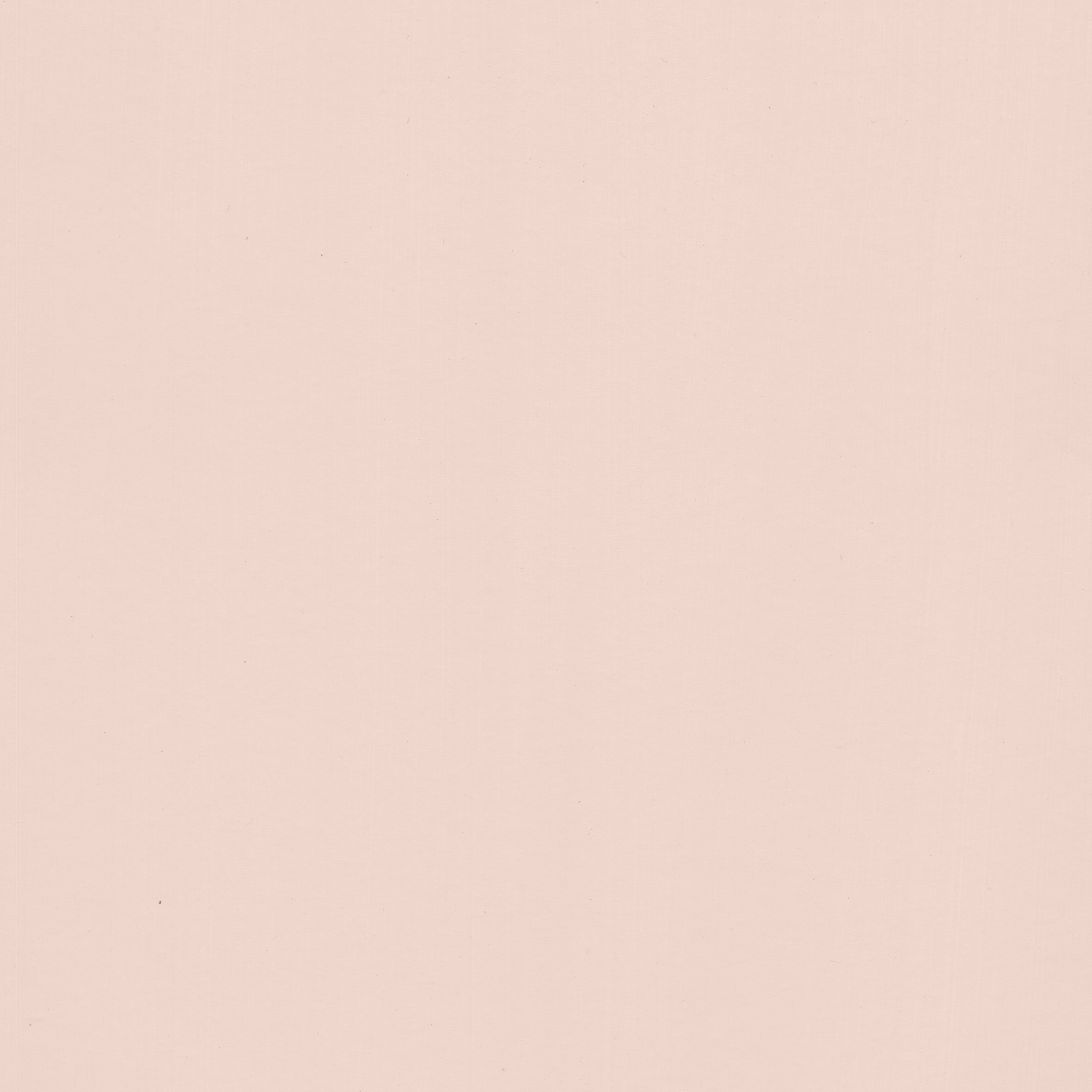 Lotus Pink