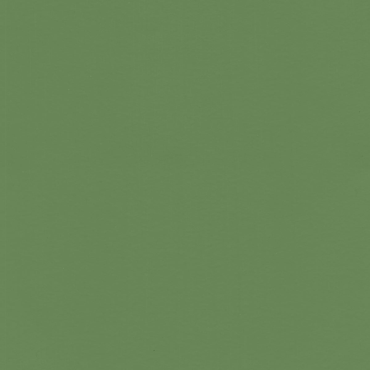 Endel Green – Peter Lewis Paints Pty Ltd
