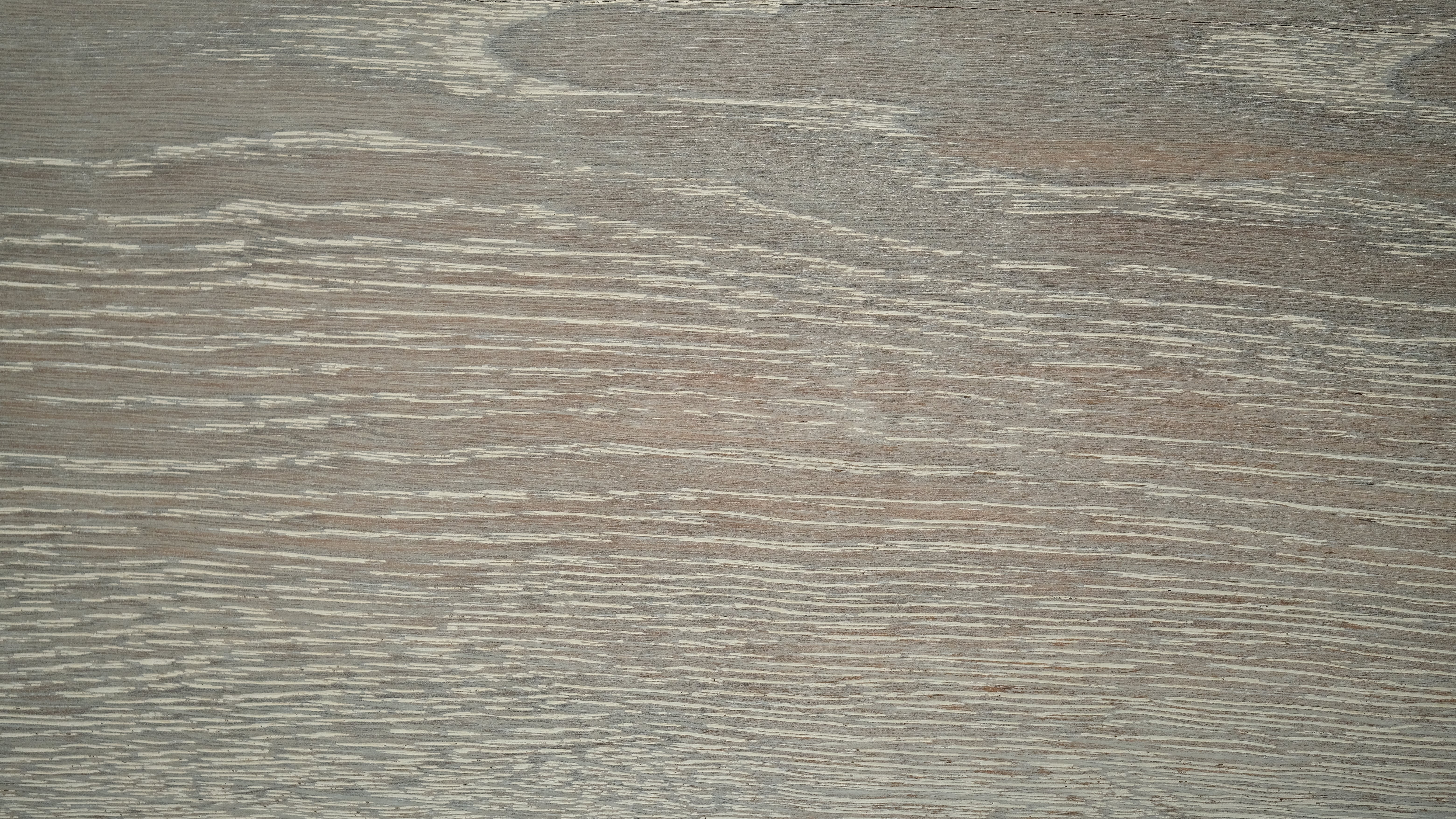 Driftwood