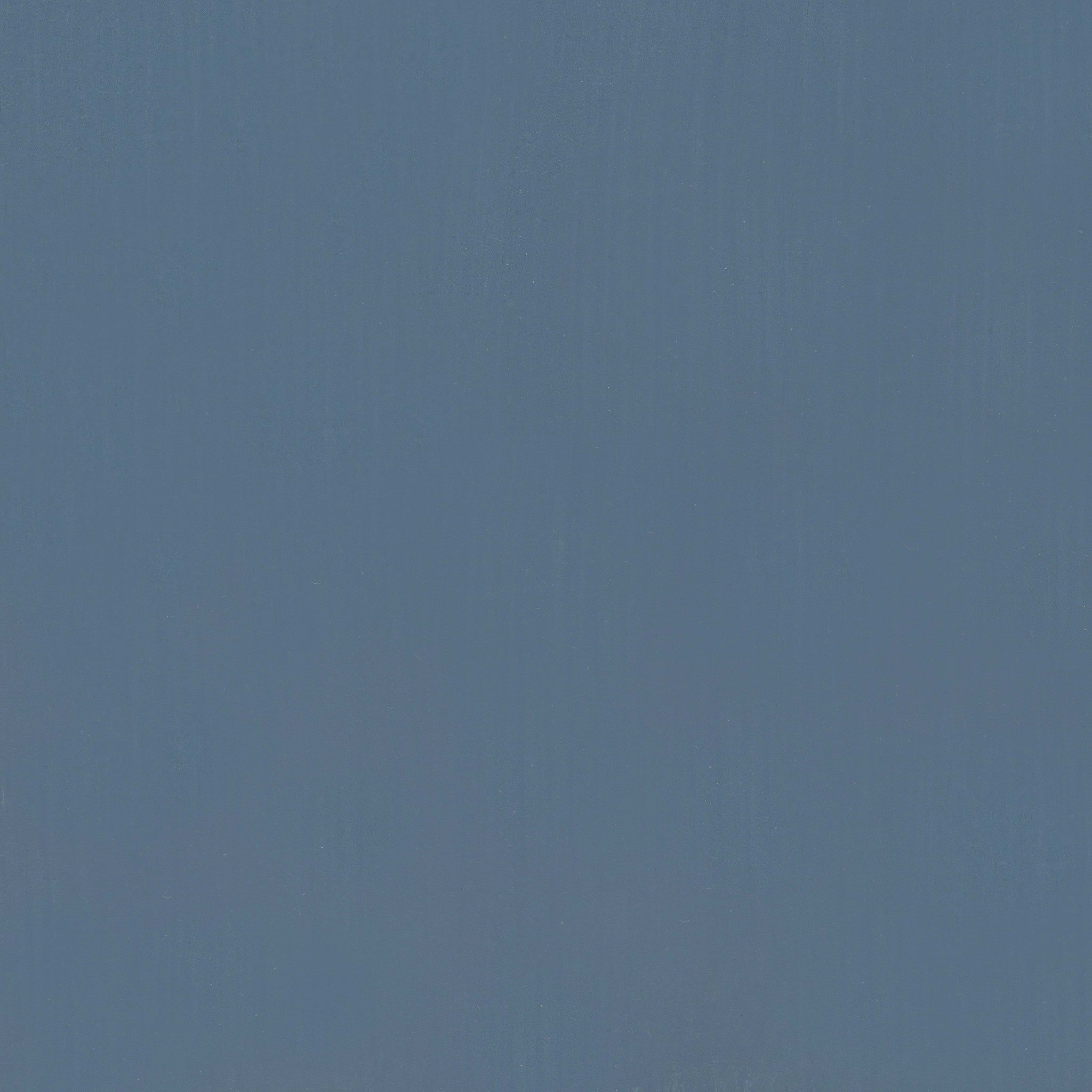 Pacific Whale