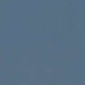 Pacific Whale